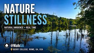 Nature Stillness Berry College Rome GA 30 Min Natural Ambience