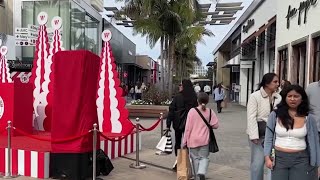 Shoppers brave the crowds for Black Friday deals at San Diego malls | NBC 7