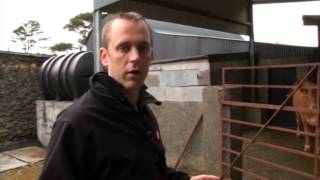 Profit from production - Buying and selling screenshot 4