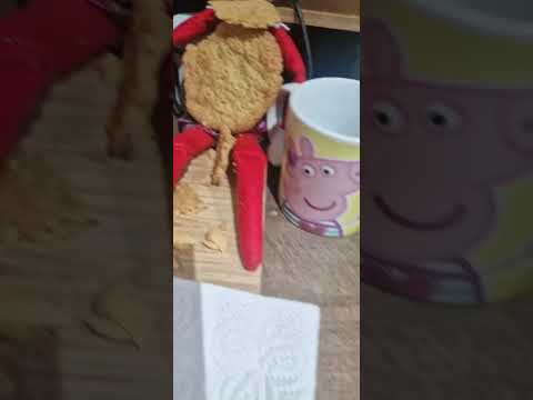 Elf on shelf eating cookies