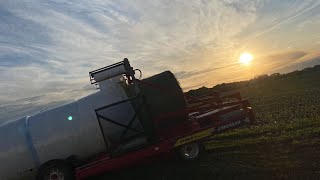 Mitchell Bales and Wraps Cereal Rye!
