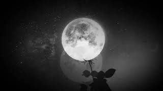 Balenciaga Трек - Filv & Edmofo🎶🖤