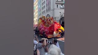 The passion of Japanese samba dancers is electric #sambadance #sambadancers #braziliandancer #japan