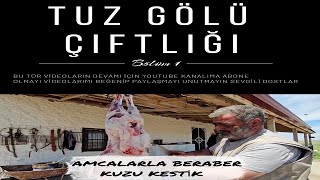 TUZ GÖLÜ  ÇİFTLİĞİNDE AMCALARLA BERABER KUZU KESTİK