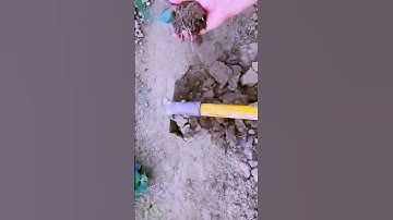 The process of growing corn = good methods can increase yields