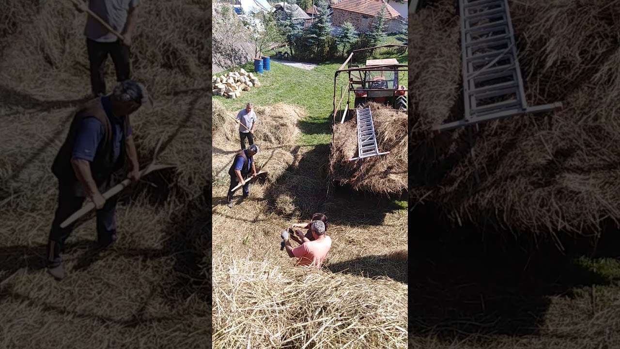 ....Štavalj..  Moba, pokrivanje  mljekara....