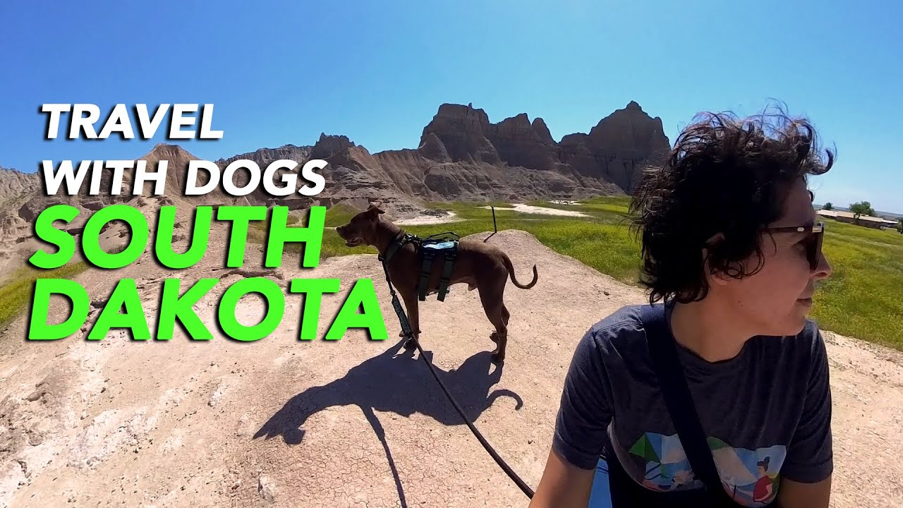 Adventuring with Dogs: Exploring Badlands National Park and Beyond | The Combine Dog