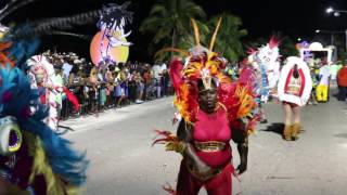 ROOTS Costuming and Performance Summerfest 2016(2)