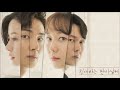 Your Honor Kdrama