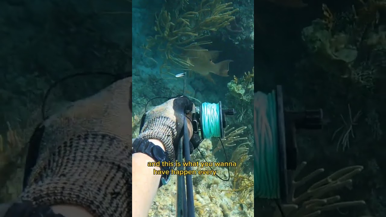 Смертельный выстрел самодельным копьём! 