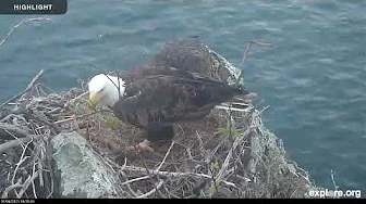 Two Harbors Overlook - Institute for Wildlife Studies | 2024 Highlights