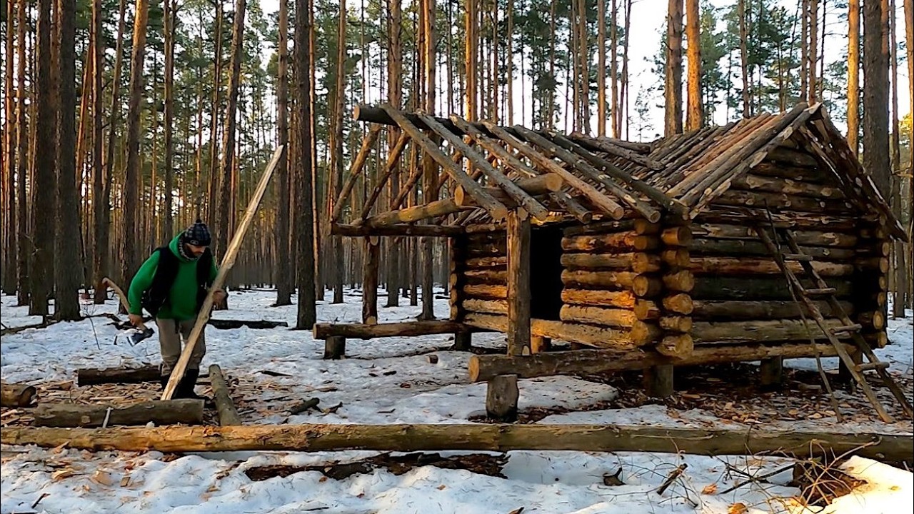 Building a big bushcraft log cabin with a canopy in the forest - YouTube