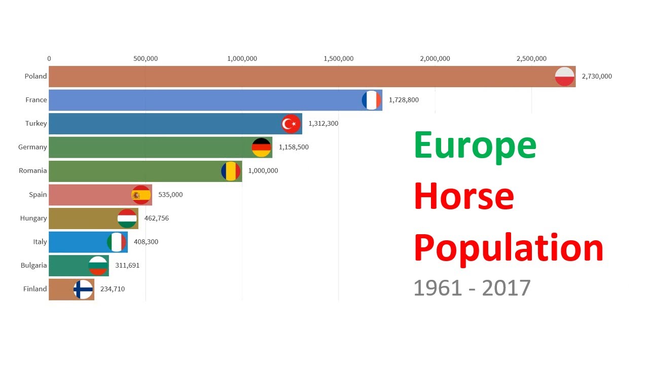 Europe Horse Population 1961 2017 YouTube