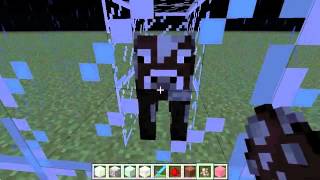 Minecraft Taxidermy #1 w/ Spider screenshot 5