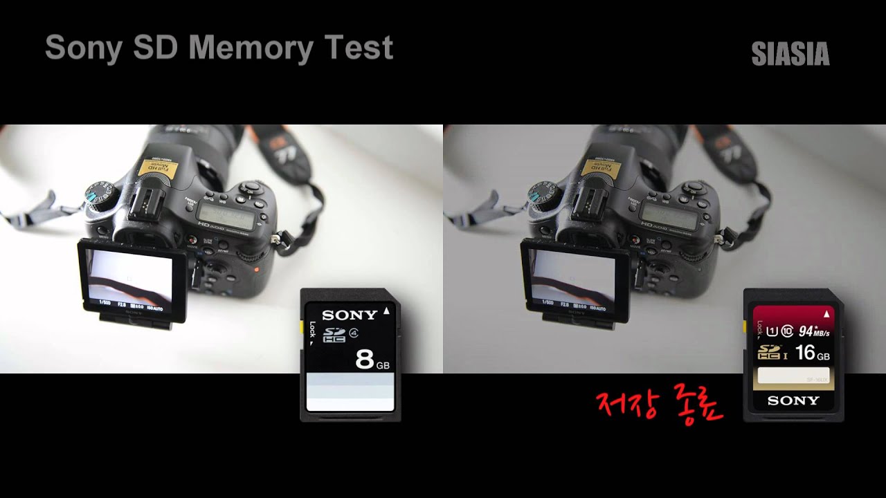 Sony SD Memory Test a77 12shots