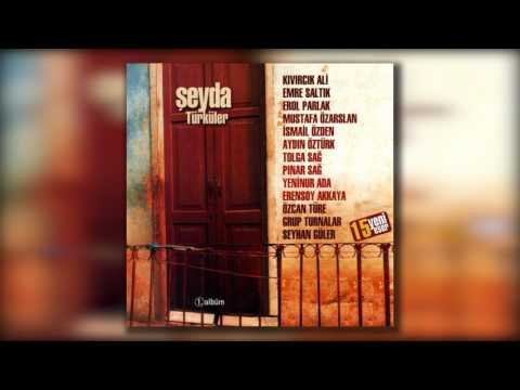 Özcan Türe - Alıpta Gittin