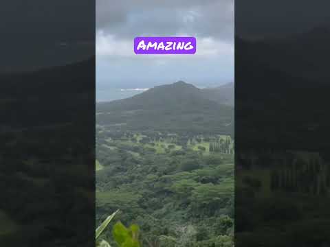 ভিডিও: নুয়ানু পালি লুকআউট নুয়ানু পালি স্টেট ওয়েসাইড পার্ক, ওহুতে