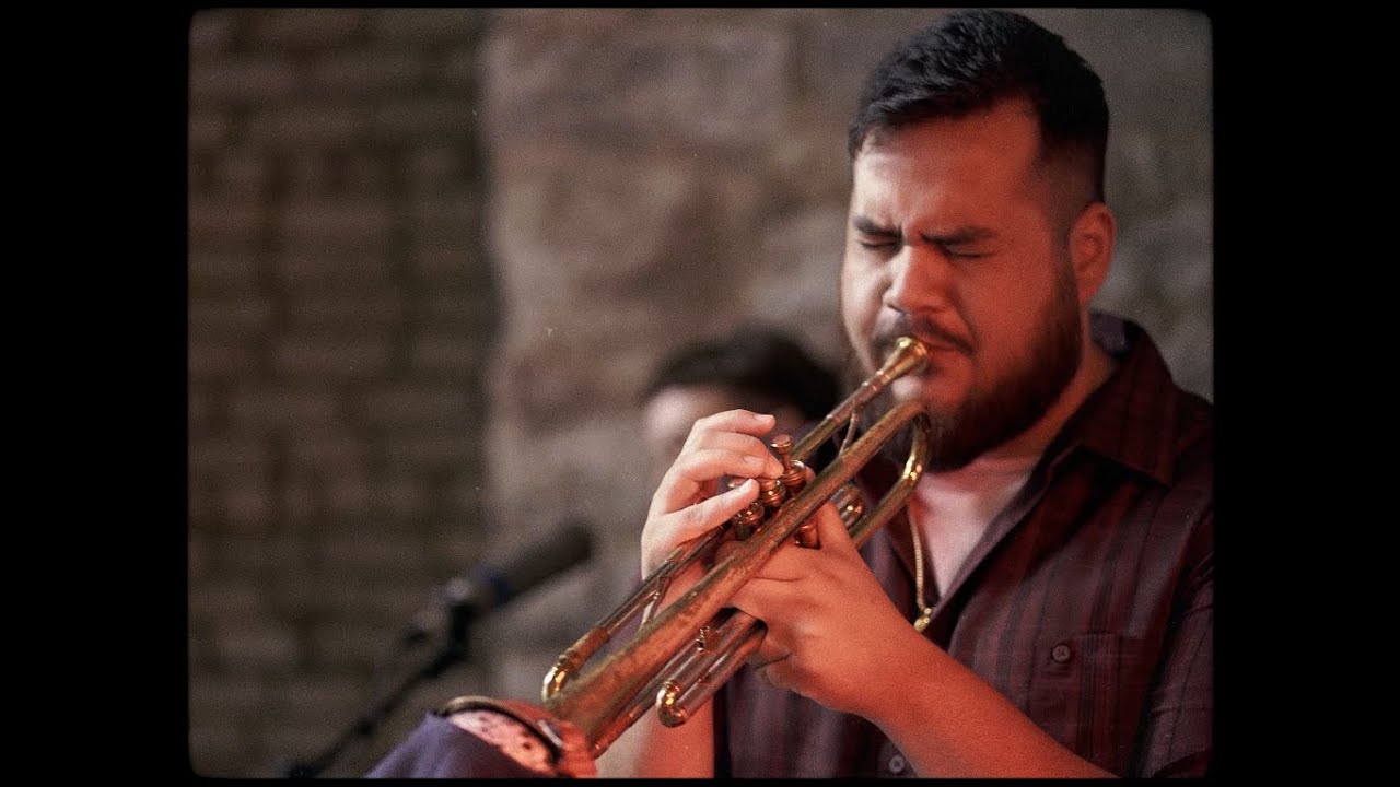 Warren Thomas Fenzi - The Cubicle (Official Video) // Live in the ...