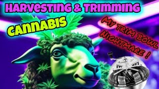 Harvesting & Trimming Cannabis | Using the Trim bowl