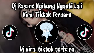 DJ RASANE NGITUNG NGANTI LALI - DJ VIRAL TIKTOK TERBARU 2025 