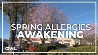 Early allergy season hits Portland area