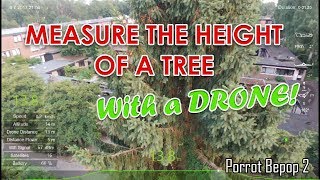 How to measure the height of a tree with a drone!