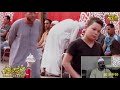 الشيخ ابراهيم الرفاعي   عزاء الحاج عزت حسن عليوة   الظاهرية   التل الكبير           نجومي
