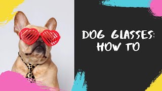 How to Photograph Dogs in Glasses