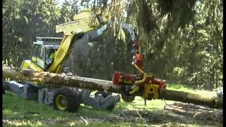Harvester Menzi Muck A111 - Thinning works