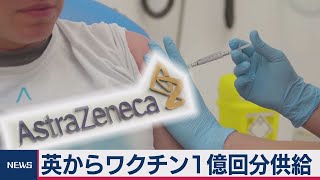 コロナワクチン１億回分確保（2020年8月7日）