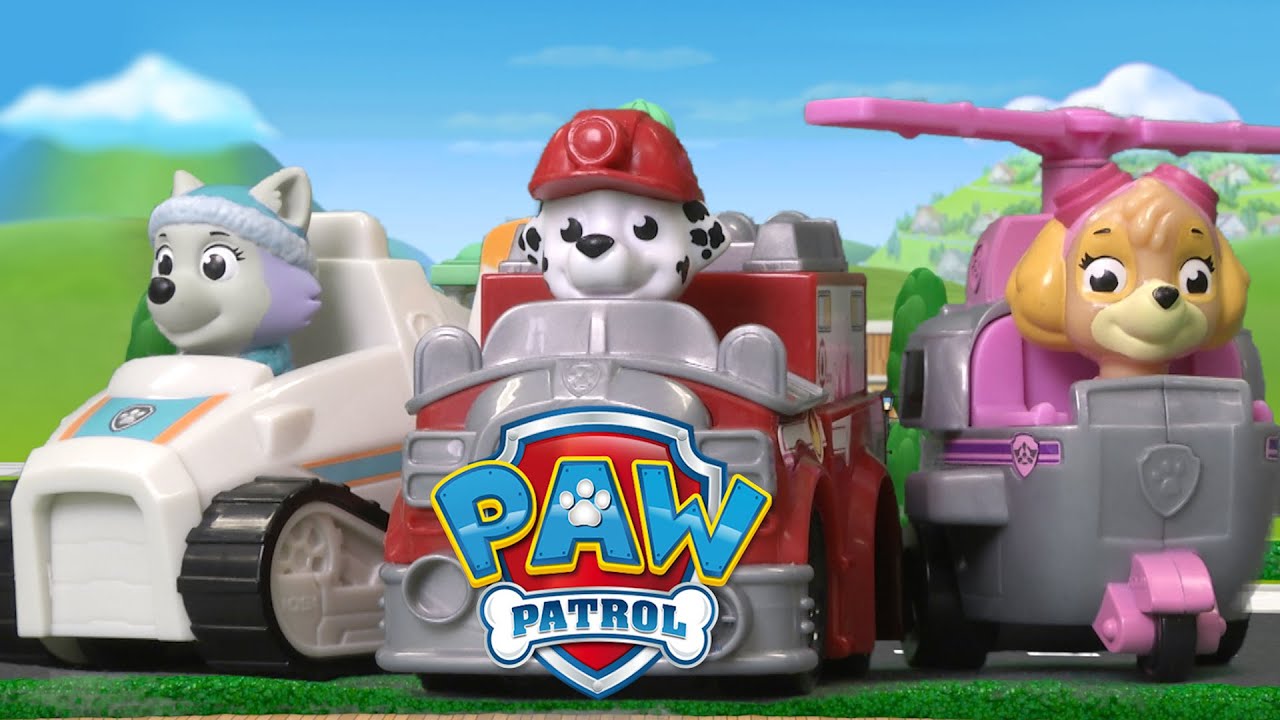 spin master paw patrol everest