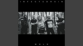 Mold