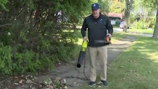 Leaf blowers put to the test: Battery vs. plug-in screenshot 4