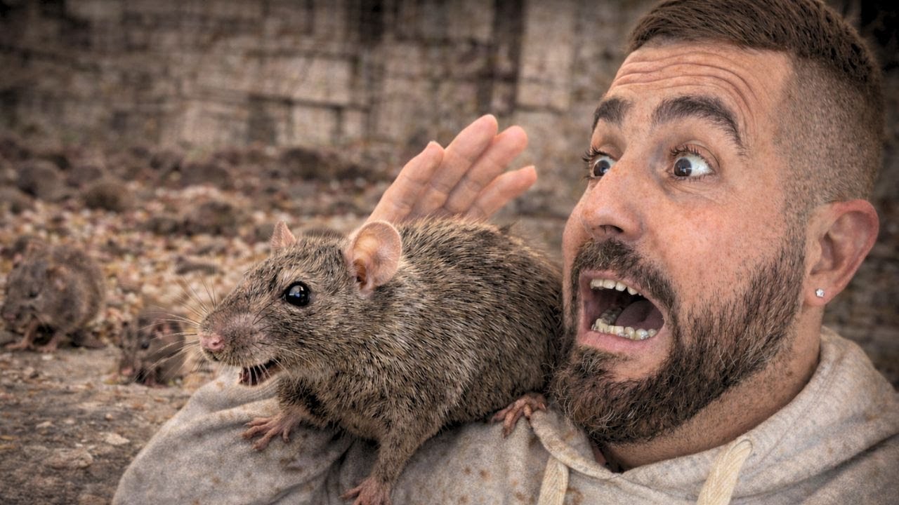 Caminando DESCALZO entre miles de RATAS | INDIA EXTREMA