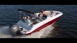 Stingray 212SC - Running
