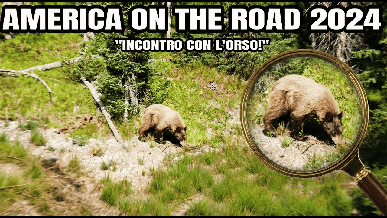 L'ORSO ci ha BLOCCATO la strada? 😱  geyser ad Yellowstone- AMERICA ON THE ROAD 2024 ep 8