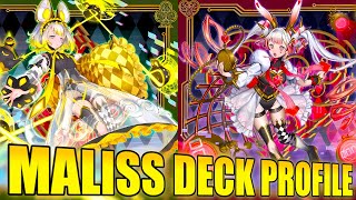 NEXT META DECK? MALISS DECK PROFILE! Yu-Gi-Oh!