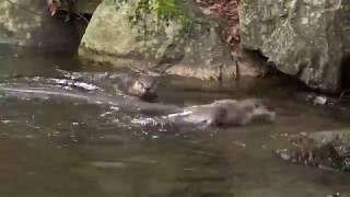 Hiking Safe And Sound L.s. Edit