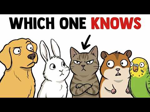 Do Animals Know They're Pets?