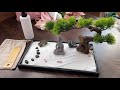 Bangbangda tabletop  meditation bonsai zen rock sand garden