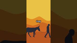 Day 2: Matthew 2: The Magi, Herod’s Plot, and God’s Protection | Bible in a Year