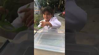 WILL IT FLOAT OR SINK! - RUBBERBAND TEST
