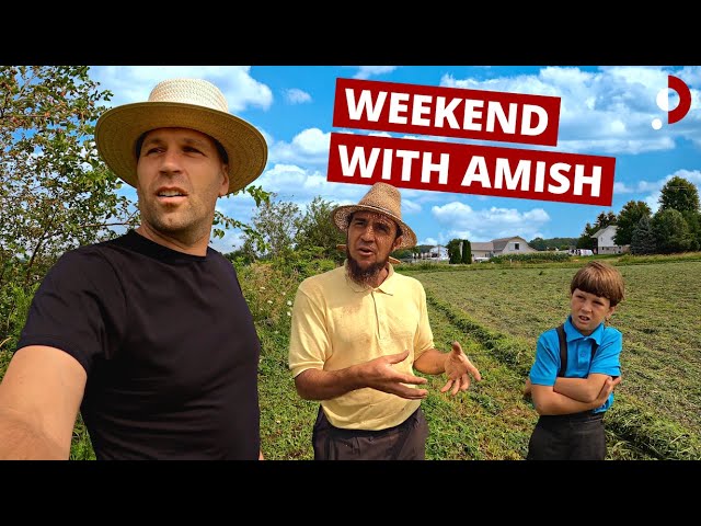 Weekend With Amish Farmer 🇺🇸, on YouTube