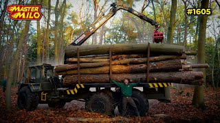 Hout zagen in het bos met de Volvo BM! (MEER DAN 25 BOMEN!) #1605