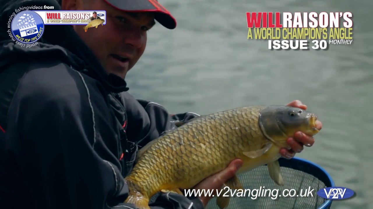 Groundbait For Margin Carp On The Pole Will Raison's Top Fishing Tips