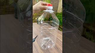 Cutting plastic bottles turned into pots for grow vegetables Amazing and nice #plants #craft