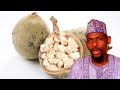 ANFANIN GARIN KWALABA Benefits Of Baobab Seed Powder ANFANIN GARIN KWALABA Benefits Of Baobab Seed Powder