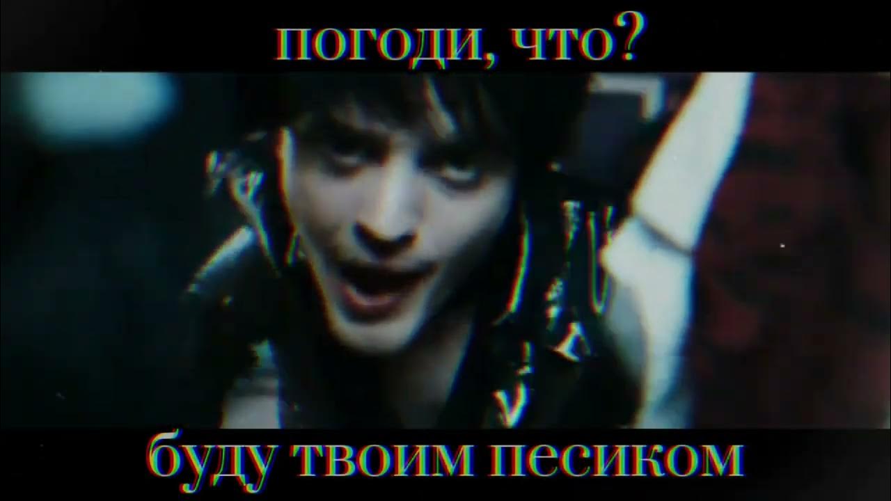 пошла молли буду твоим песиком. буду твоим пёсиком квинтаккорды. буду твоим пёсиком kyoresu. грустная молли. буду твоим песиком.