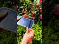 Rubber Band &amp; Umbrella DIY Selfie Stick Hack ✨! Easy &amp; Essential for Travel ✅🤳