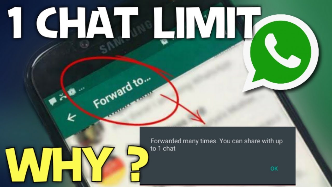 WhatsApp Message Forward 1 Chat Problem | Whatsapp Forward Limit Problem - YouTube